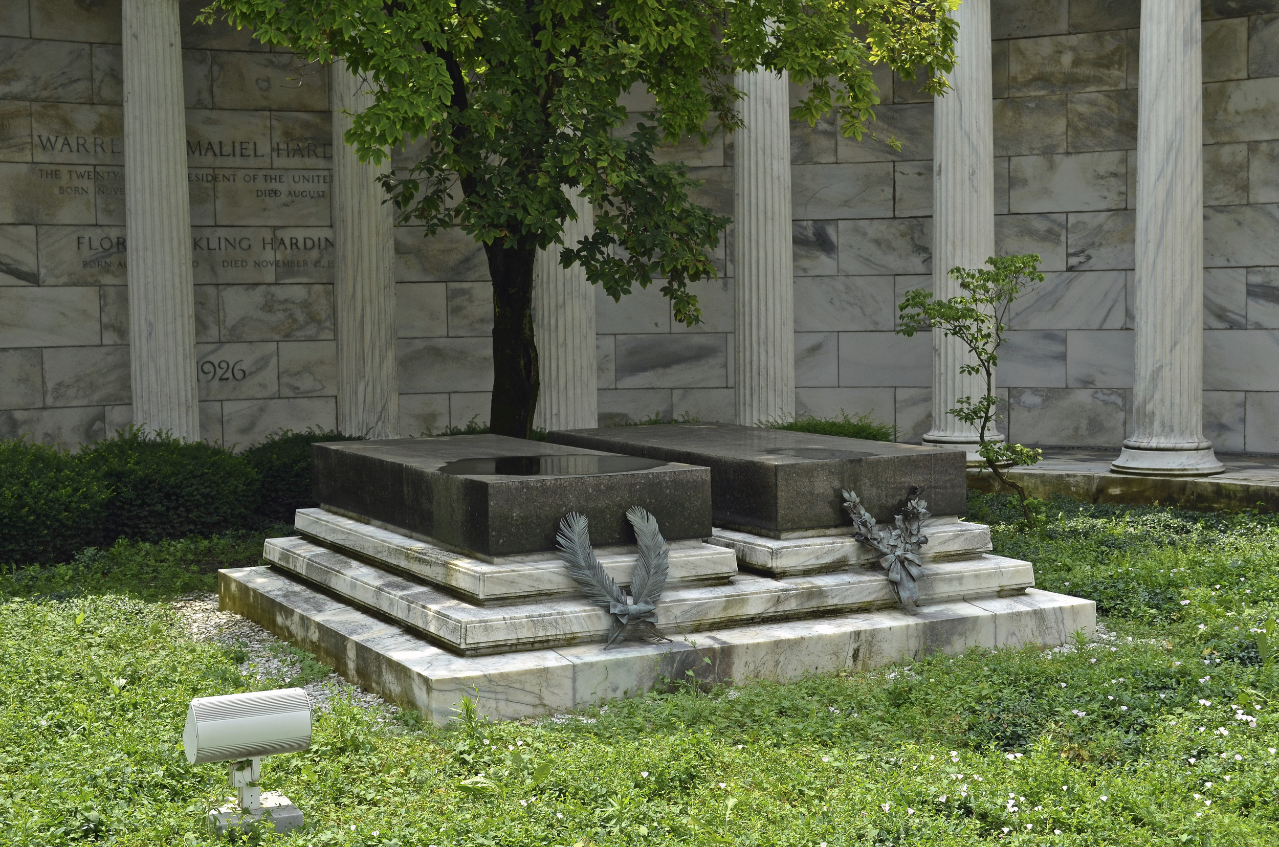 29. Warren G. Harding