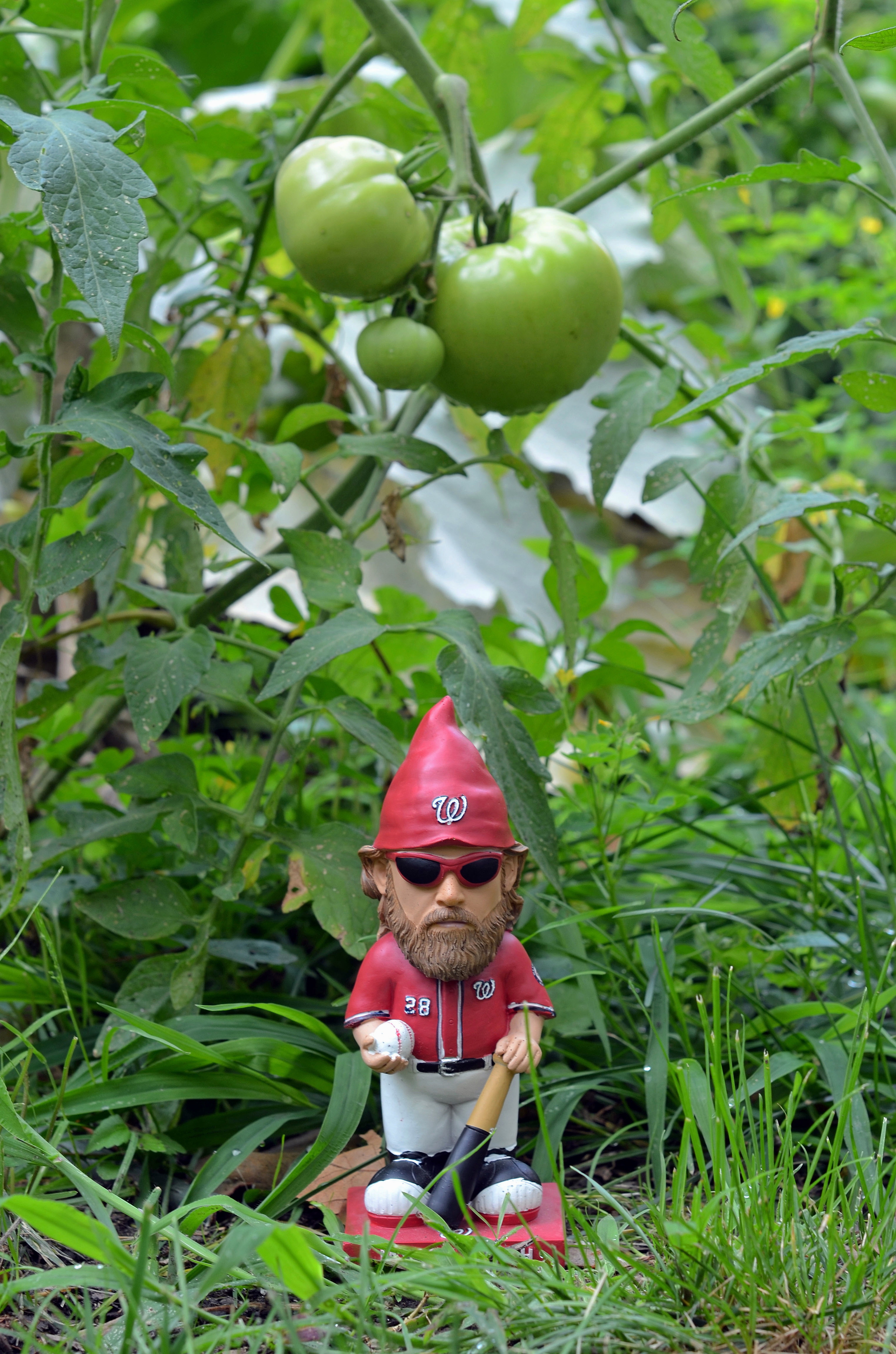 jwerthgnome2.jpeg