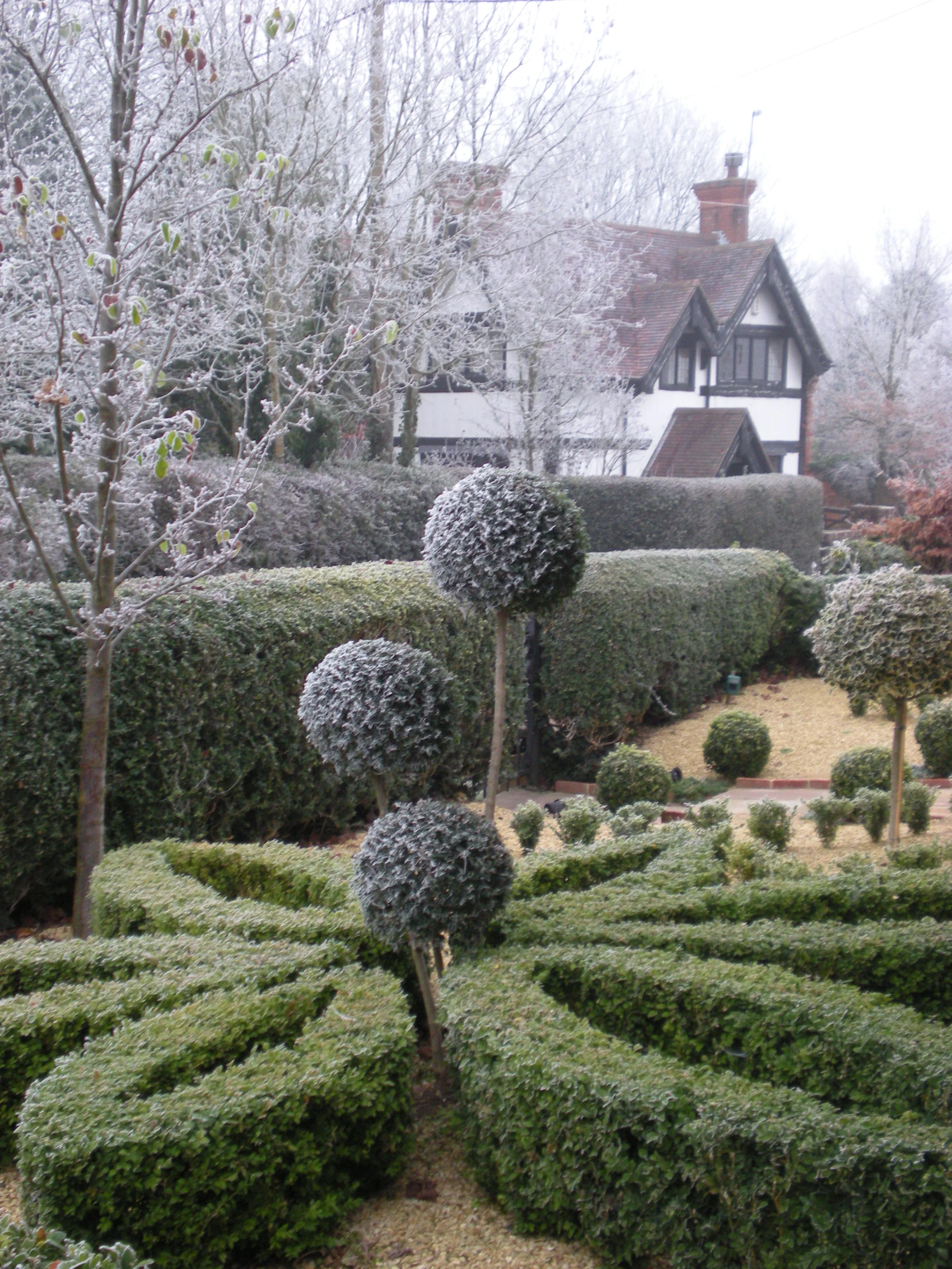 Front Garden Box Design and Planting.jpg