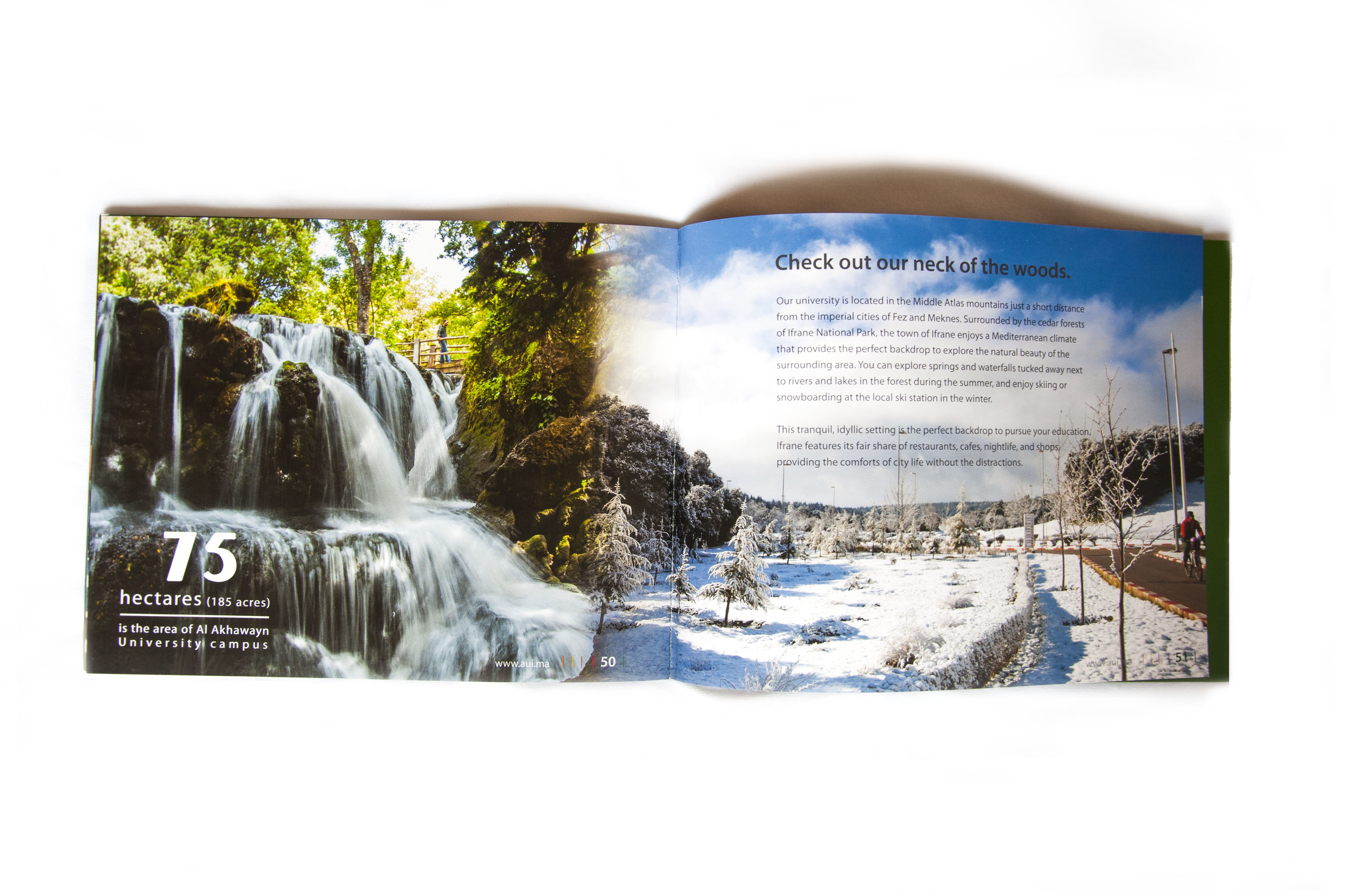 Brochure_0000_Layer 3.jpg