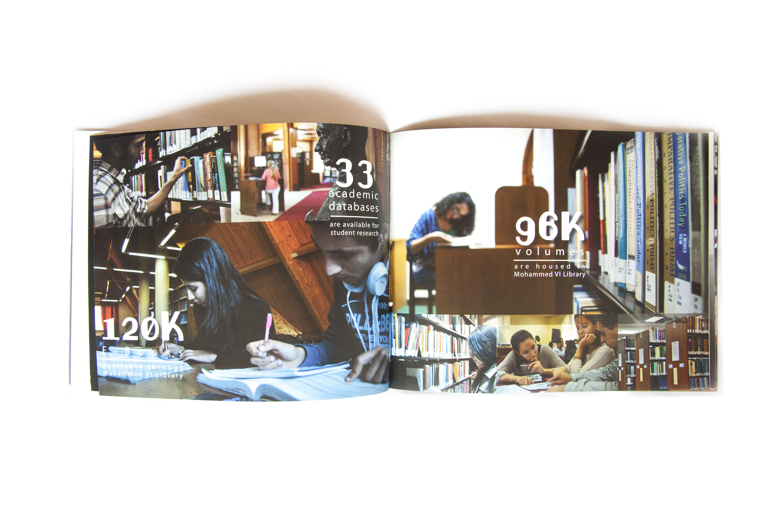 Brochure_0003_Layer 13.jpg