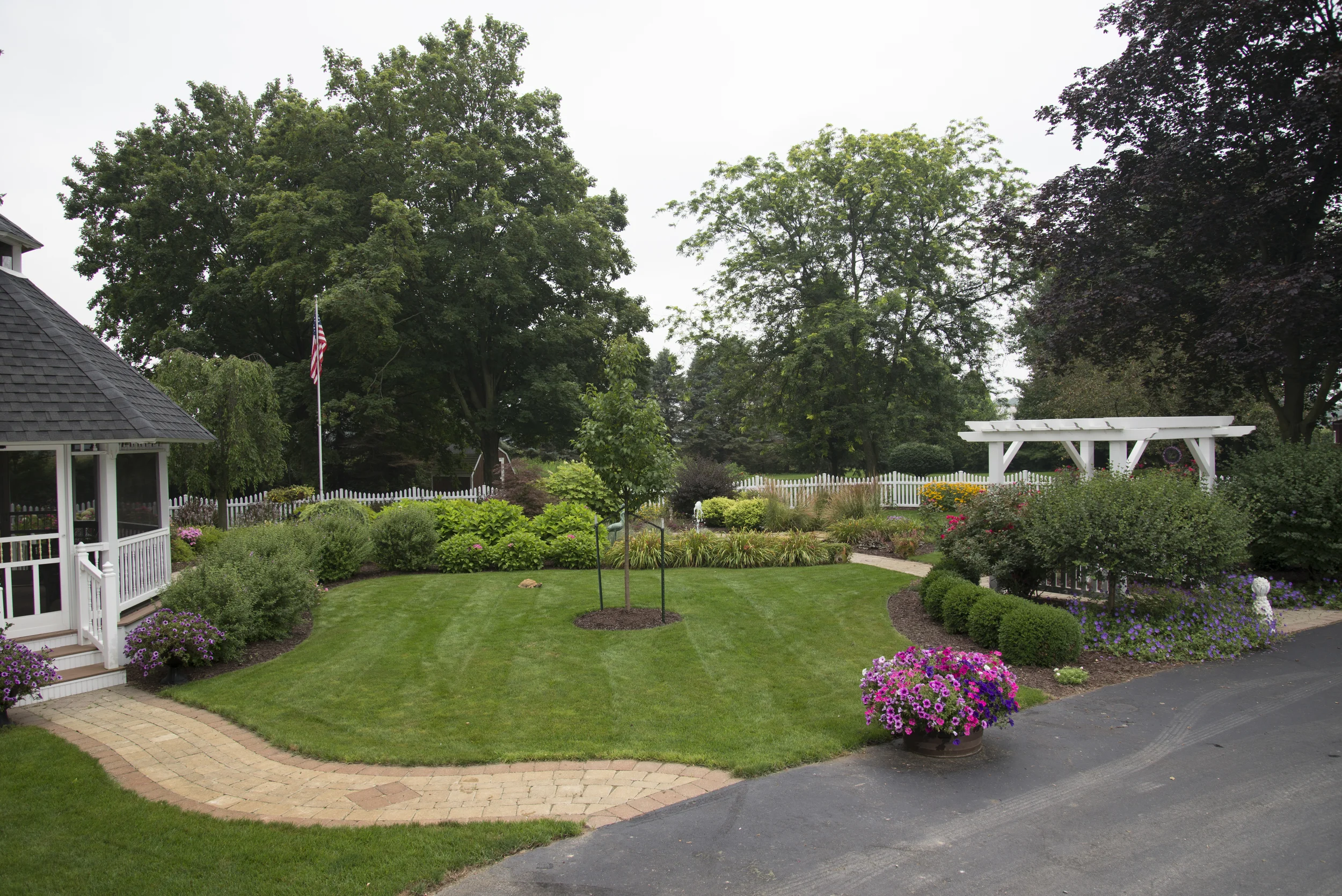 DSC_4591.jpg