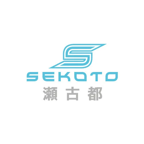 sekoto-web.jpg