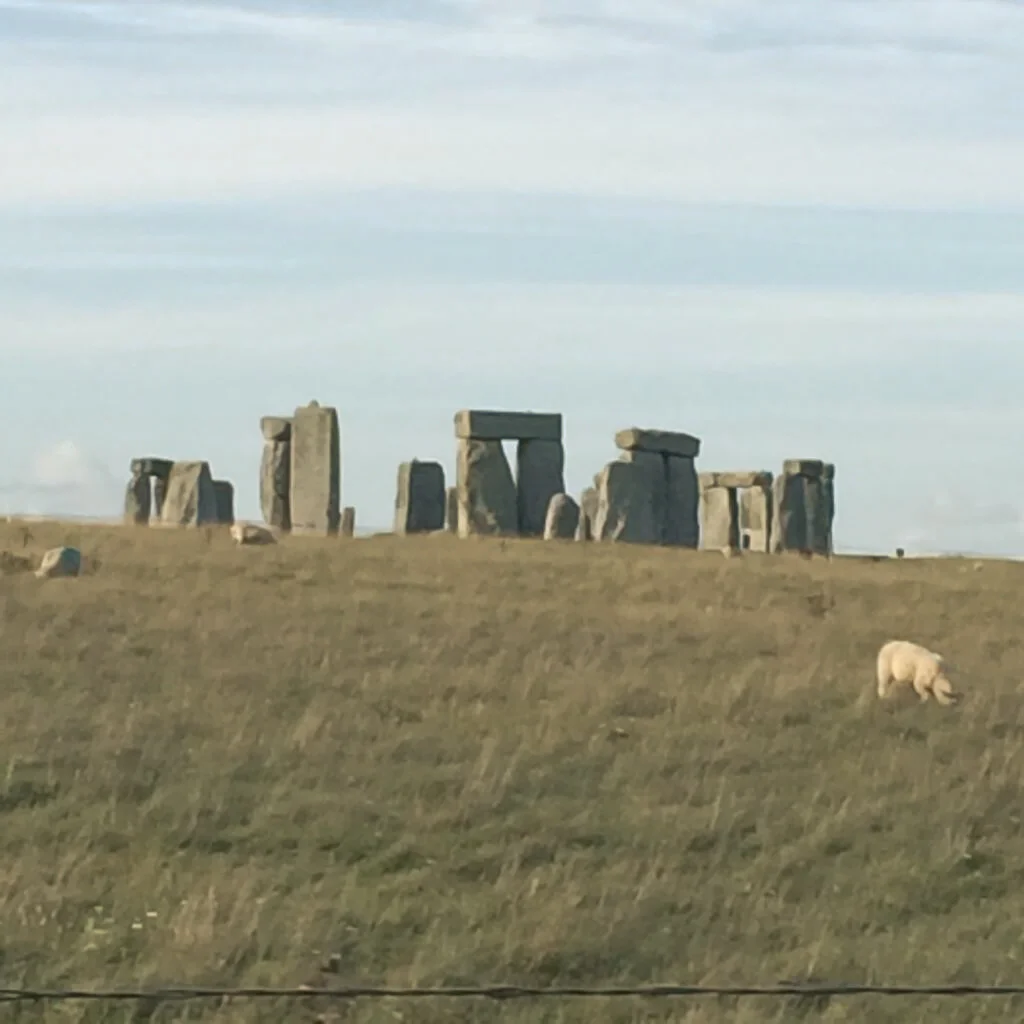 stonehenge (7 of 25).jpg