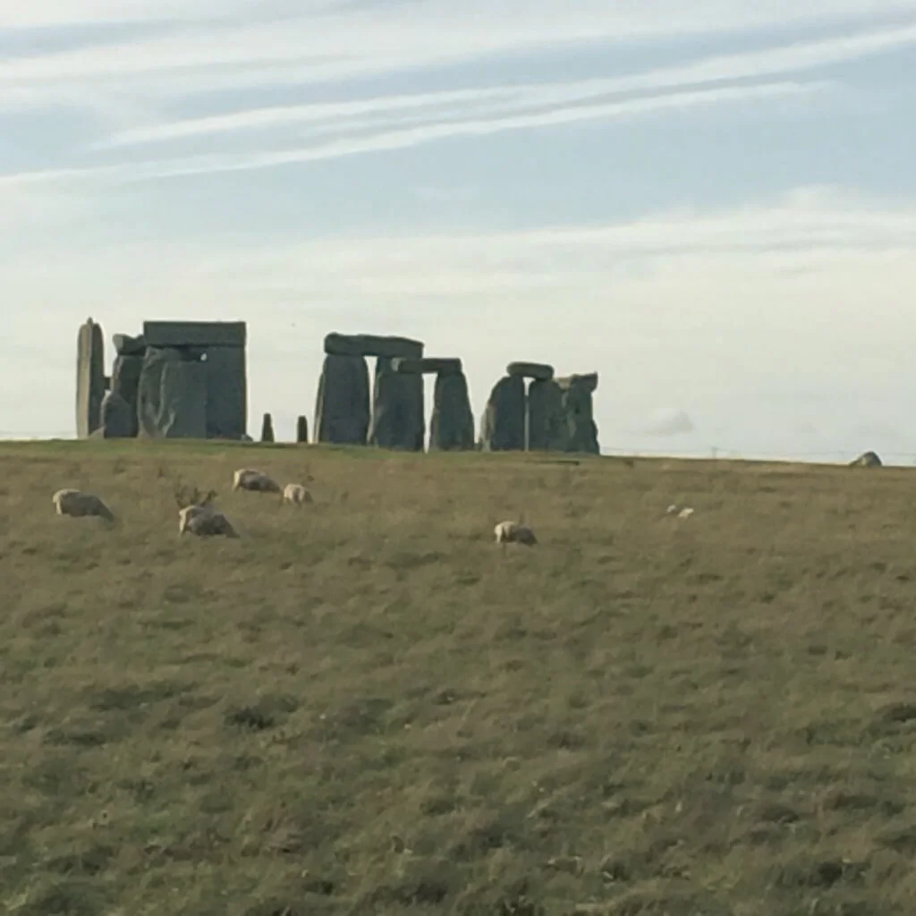 stonehenge (19 of 25).jpg