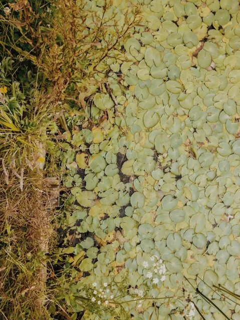 image-asset (14).jpeg