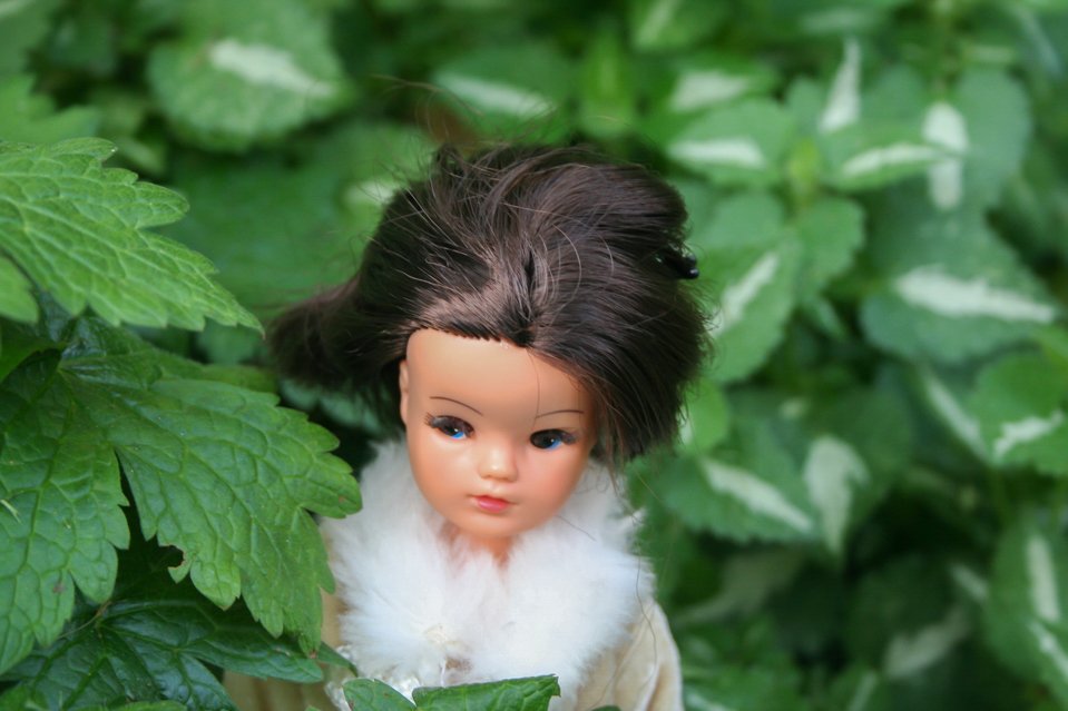 Sindy photostory 2004-15.jpg