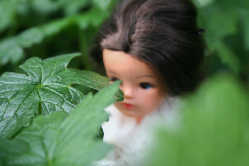 Sindy photostory 2004-14.jpg