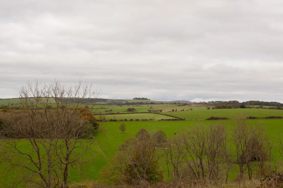 CissburyRing (18 of 63).jpg