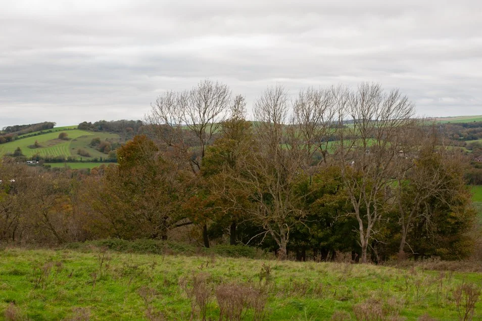 CissburyRing (50 of 63).jpg