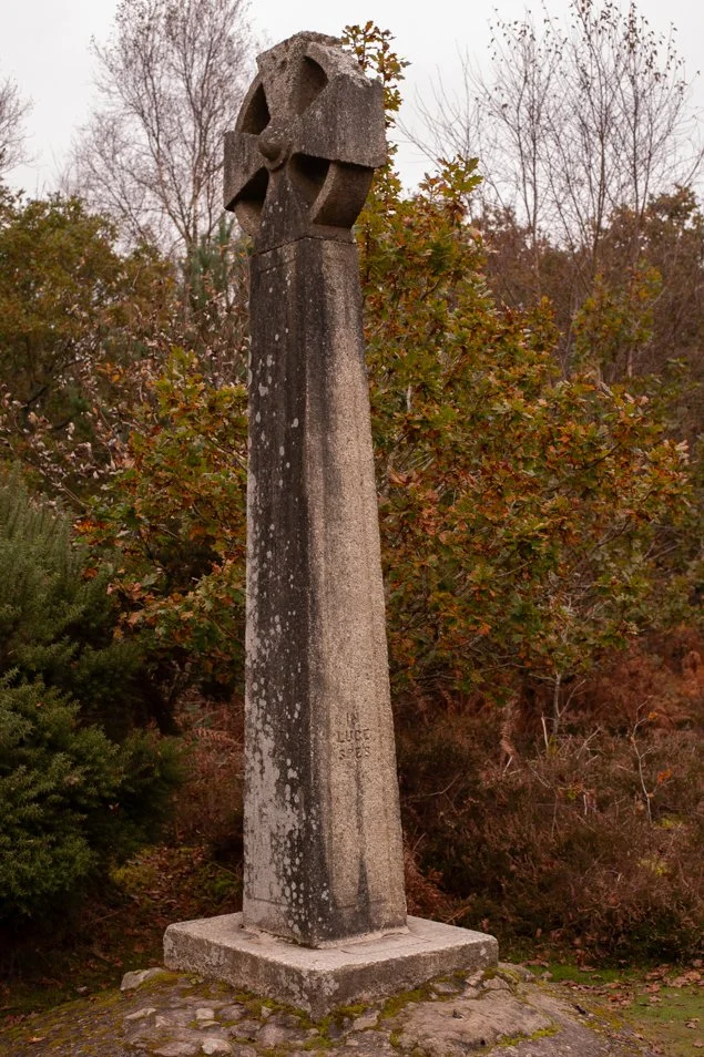 hindhead (42 of 70).jpg