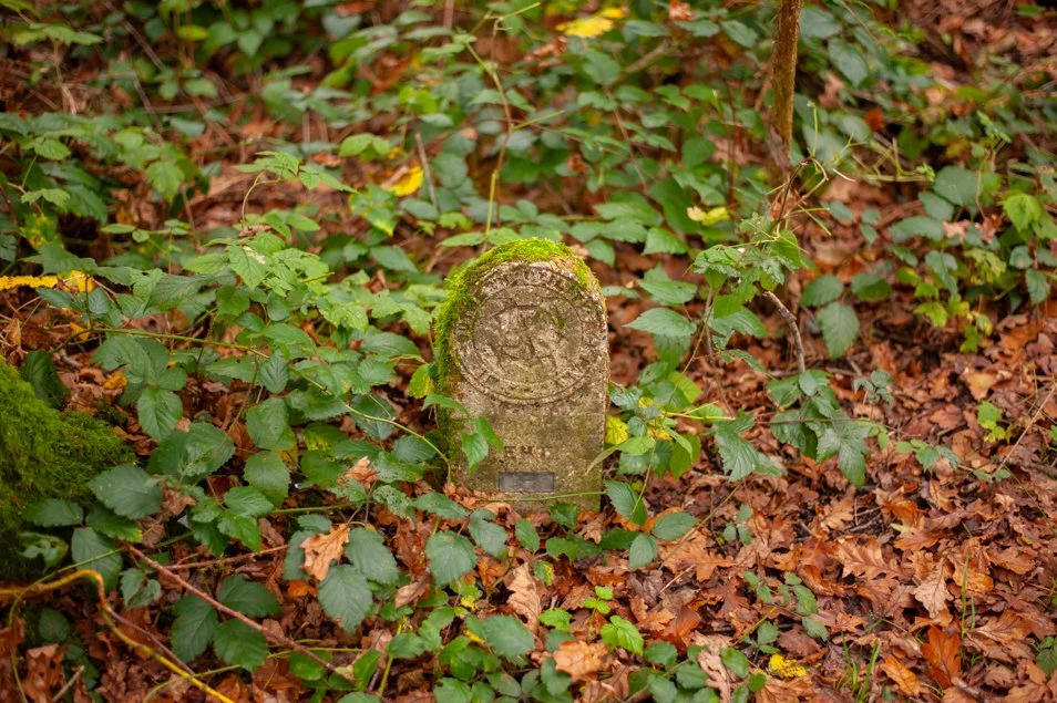hindhead (64 of 70).jpg