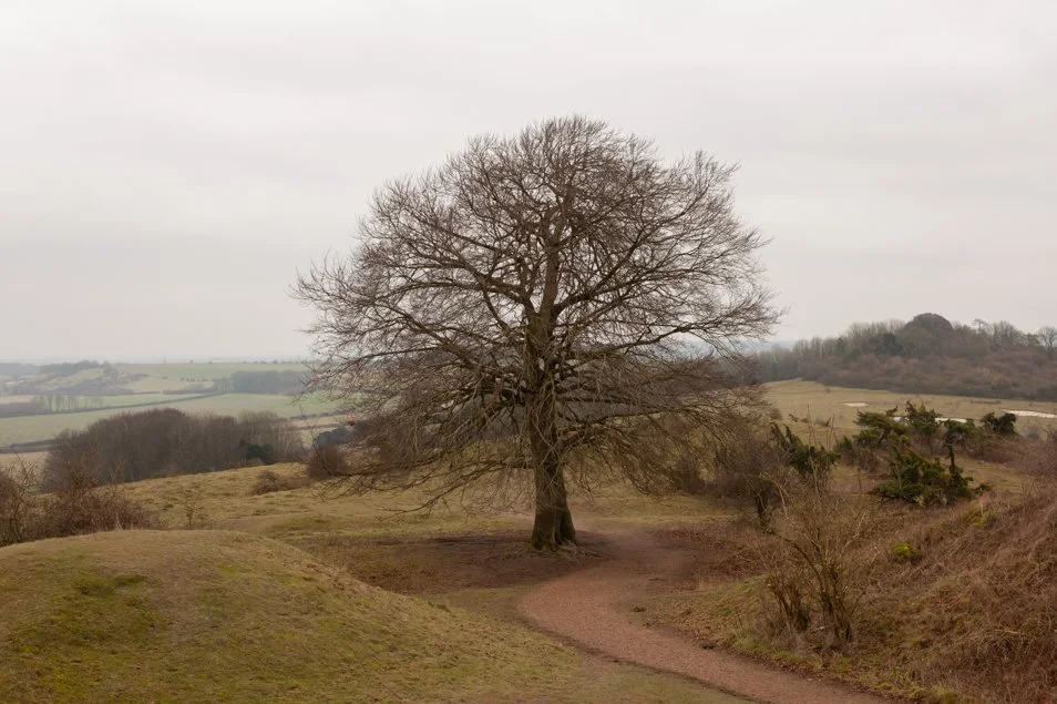 Neolithic- Danebury Iron Age Hillfort-Hampshire.