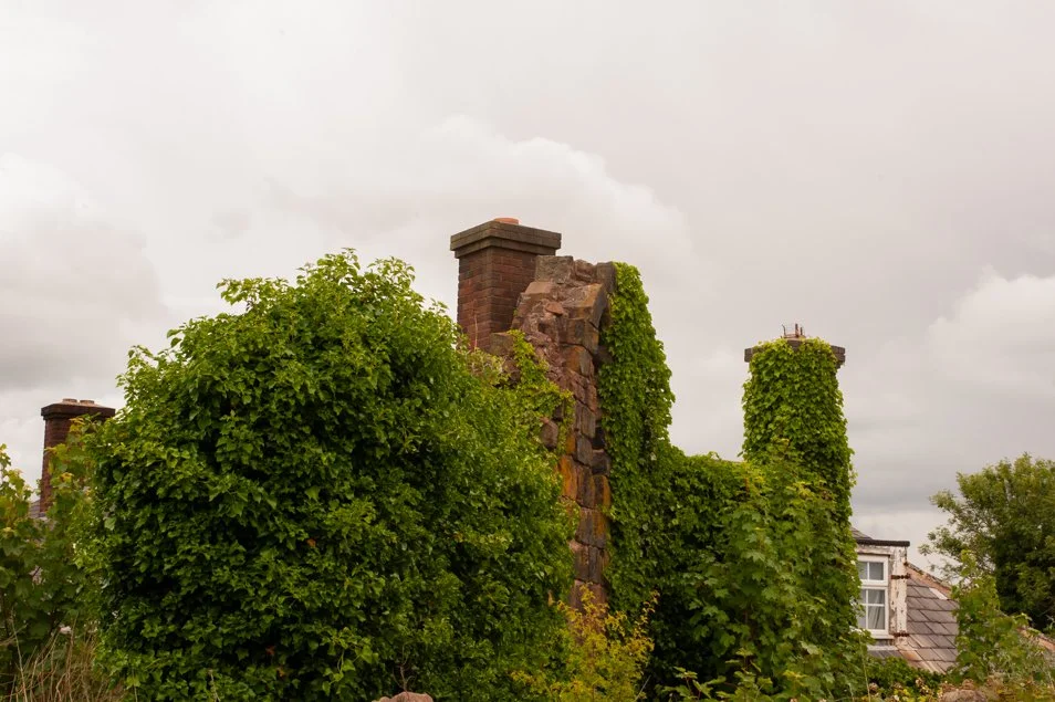 haltoncastle (48 of 83).jpg