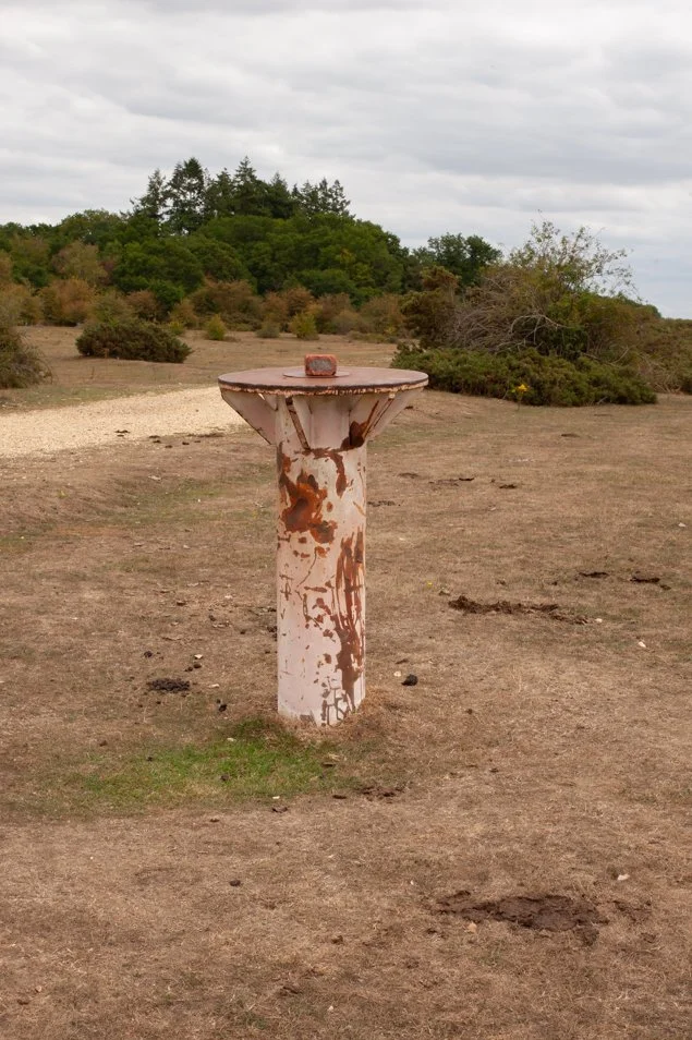 greenhamcommon (52 of 96).jpg