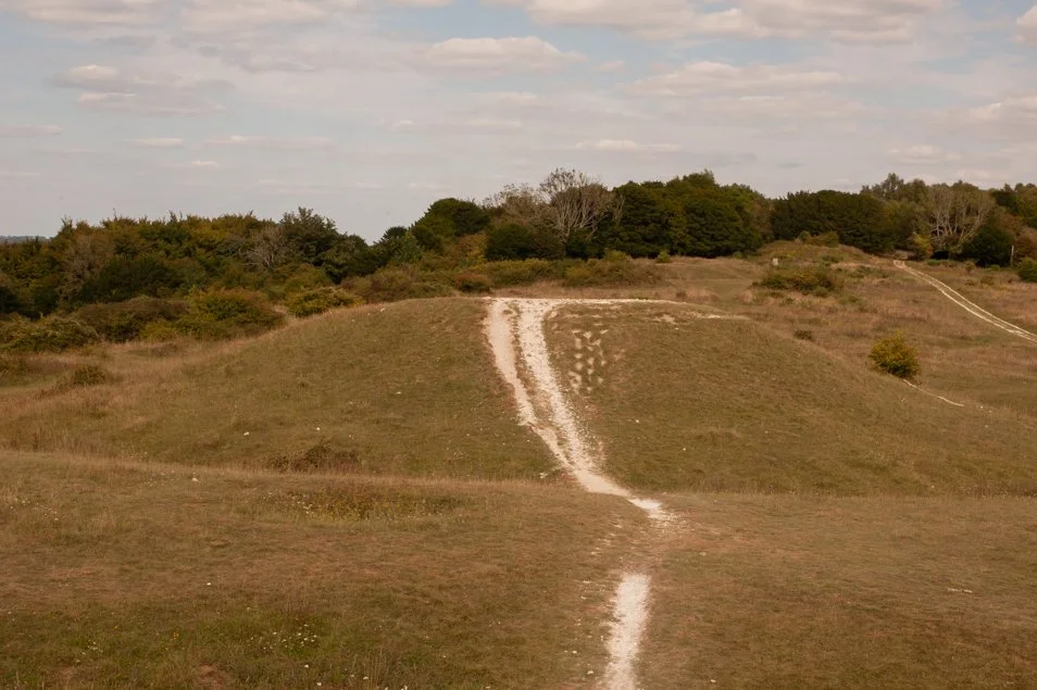 Bronze Age, Devils Humps Burial Mounds, Stoughton, West Sussex.