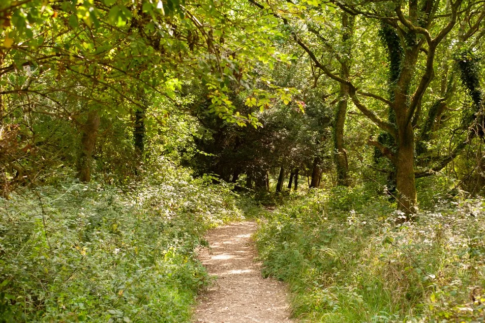 kingleyvale (27 of 90).jpg