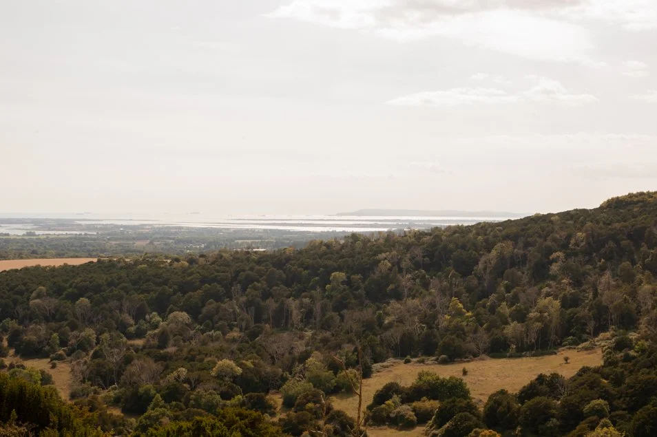 kingleyvale (85 of 90).jpg