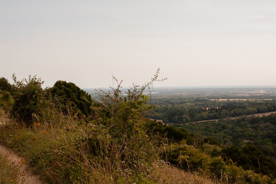 kingleyvale (89 of 90).jpg