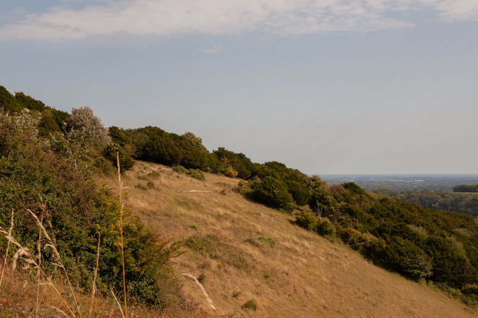Walks, Kingley Vale Nature Reserve &amp; Yew Tree Forest, West Sussex.