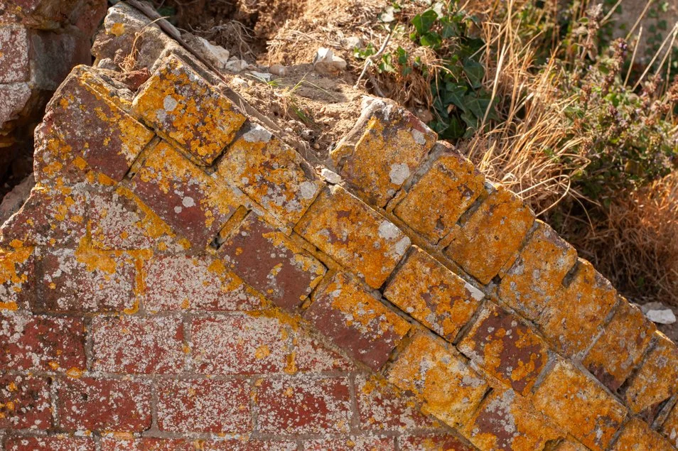fortnelson (28 of 138).jpg