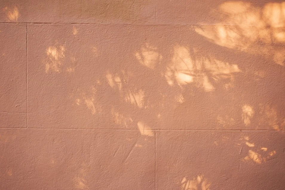 portchestercastle (37 of 45).jpg