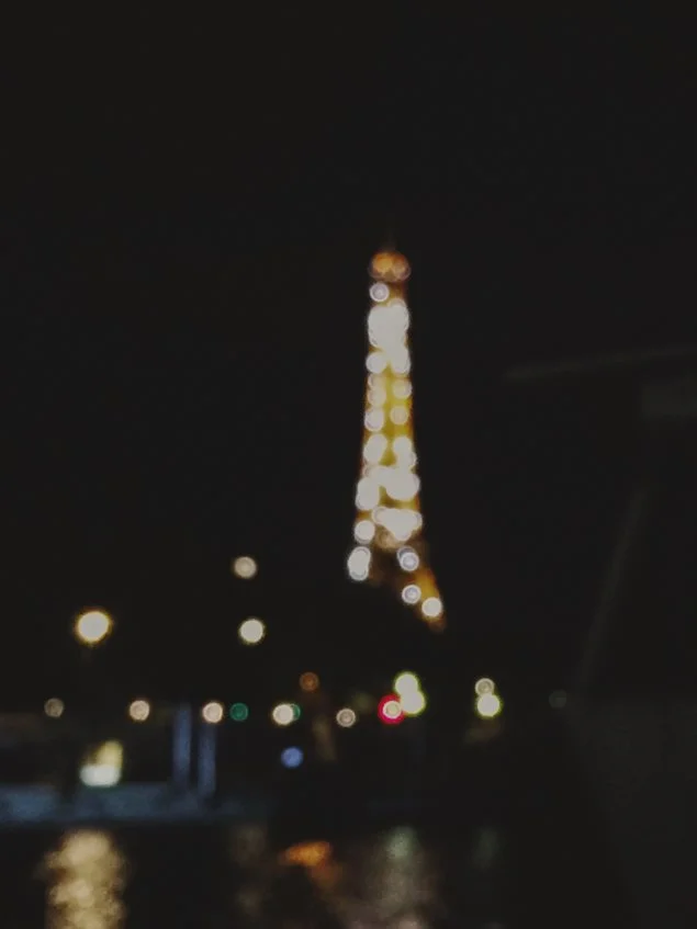 paris (5 of 14).jpg