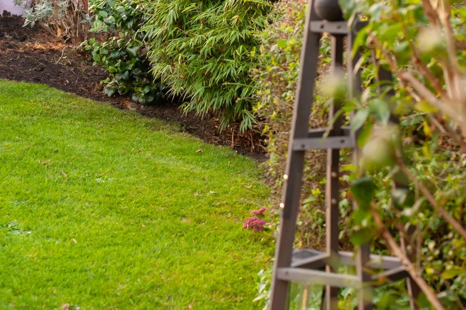 garden (43 of 48).jpg