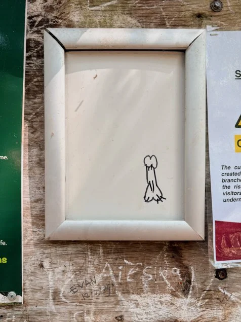 localgraf (2 of 3).jpg