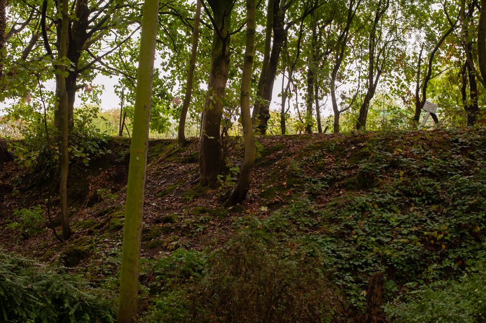 winwickHOD25 (105 of 127).jpg