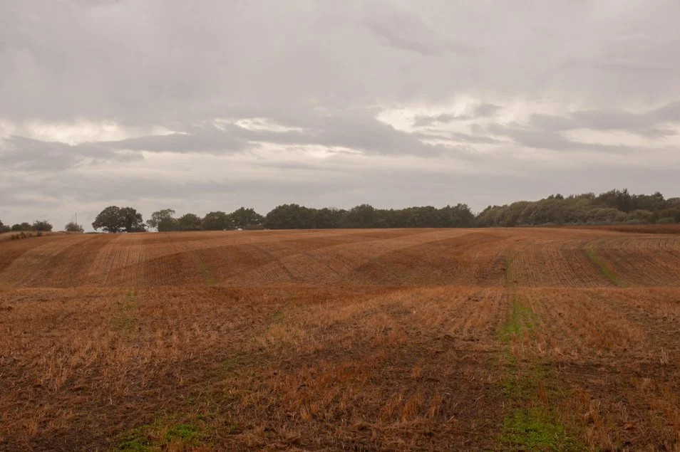 winwickHOD25 (116 of 127).jpg
