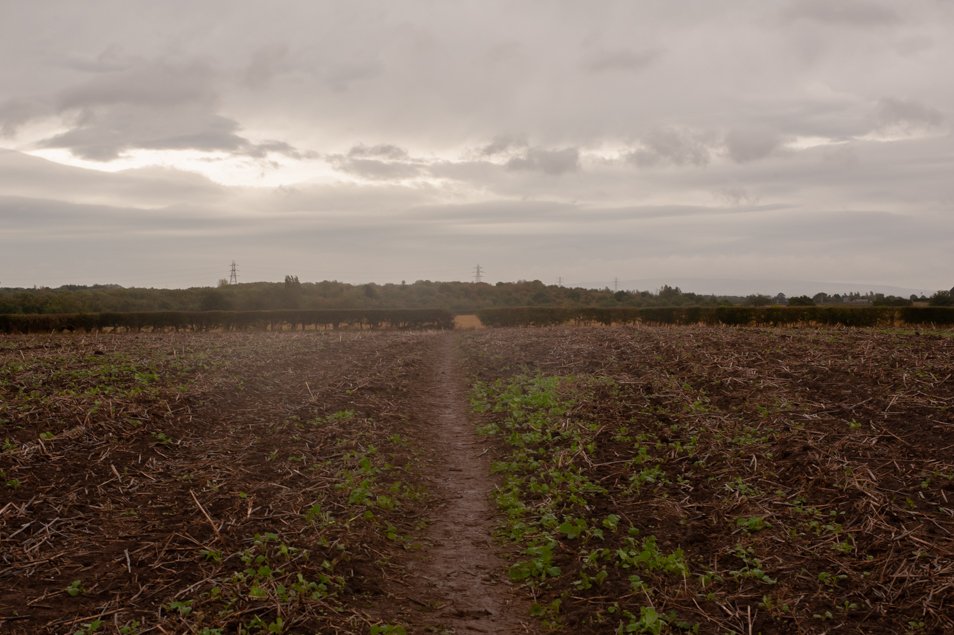 winwickHOD25 (120 of 127).jpg