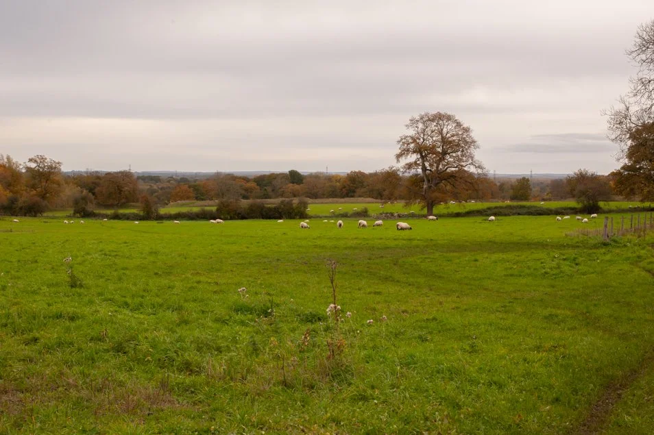 silchester (16 of 19).jpg