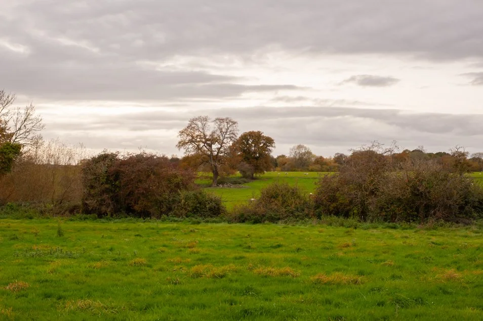 silchester (19 of 19).jpg