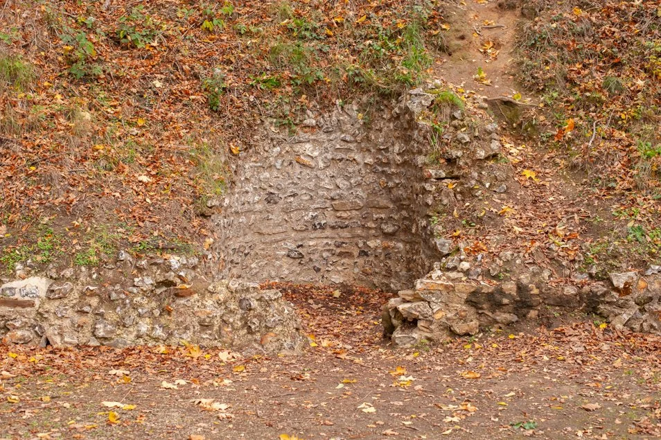 silchester (20 of 60).jpg