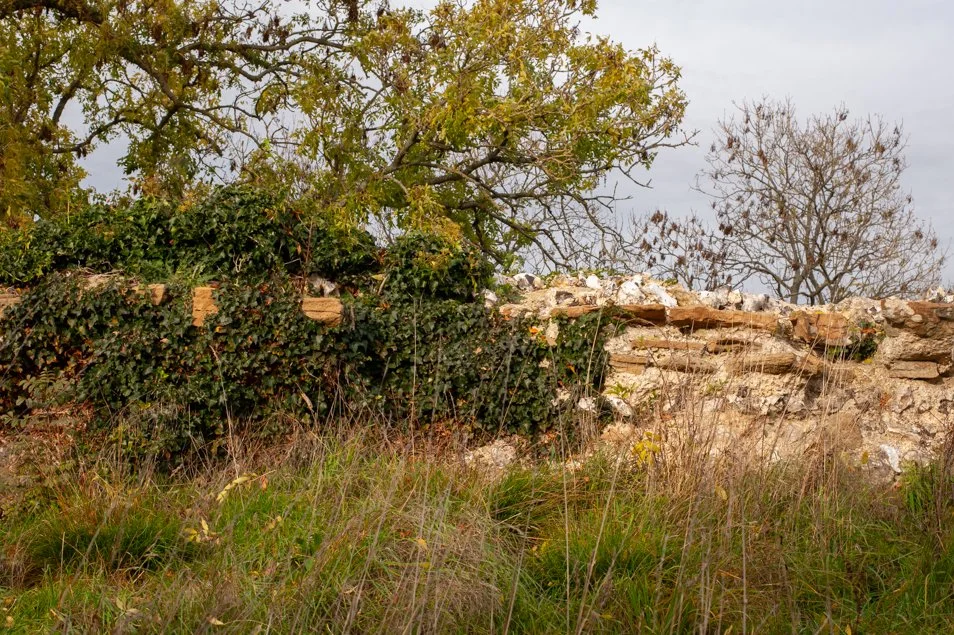 silchester (46 of 60).jpg