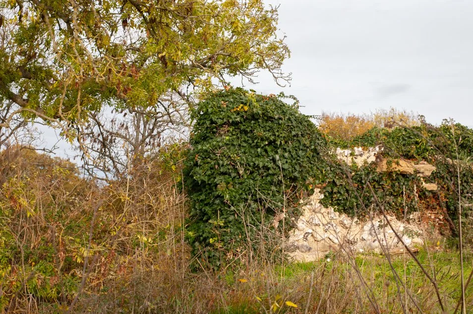 silchester (48 of 60).jpg