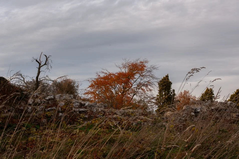 silchester (55 of 60).jpg