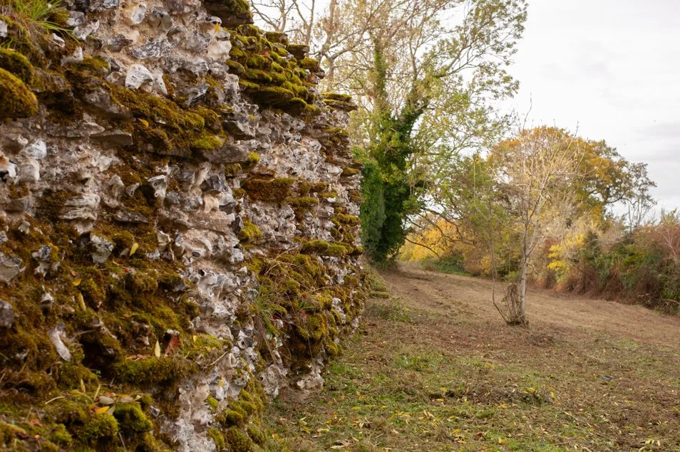 Roman Ruins, Silchester Town Walls, Hampshire.