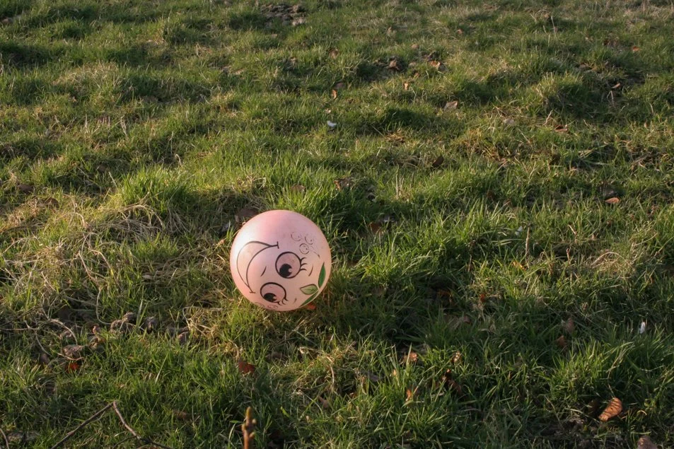 Photo Archive, Lost Ball, 2005.