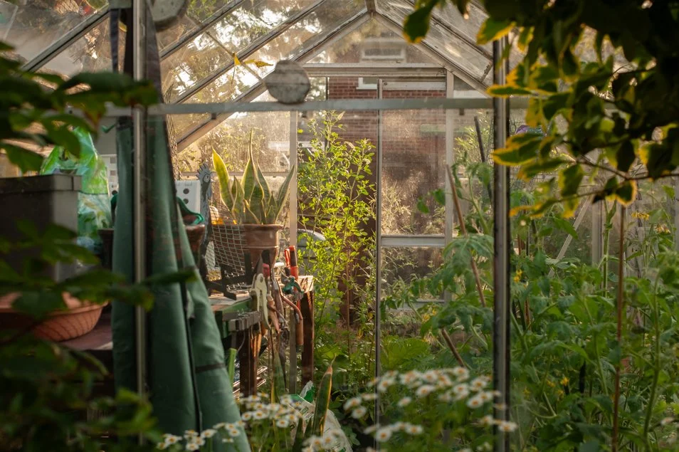 Botanical, Garden, June.