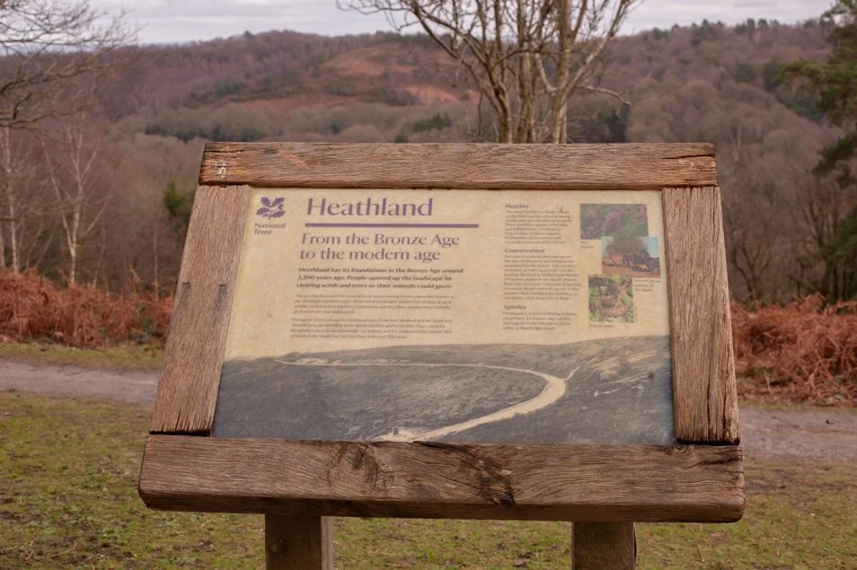 highcoombe-6189.jpg