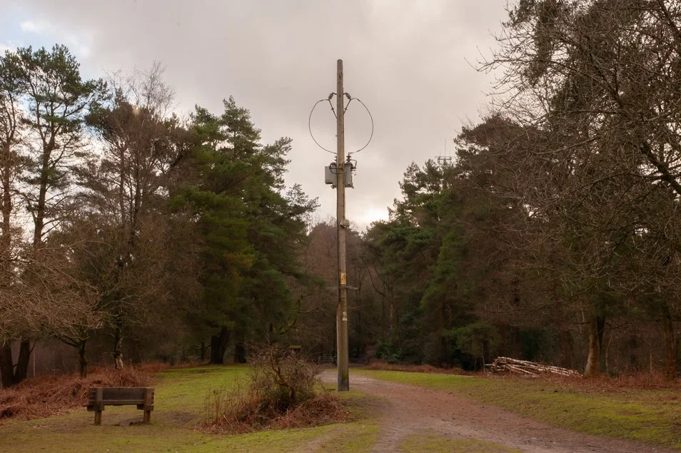 Walks, Highcombe, Surrey.