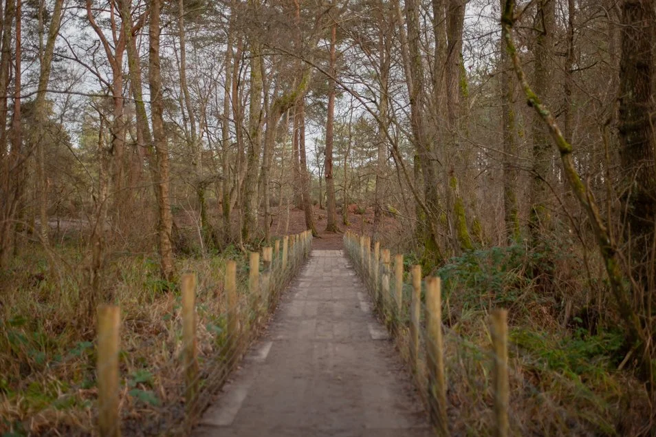 frensham-6280.jpg