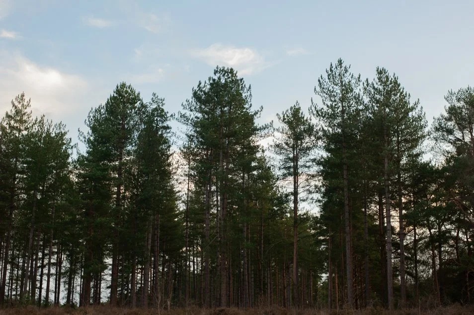 frensham-6282.jpg
