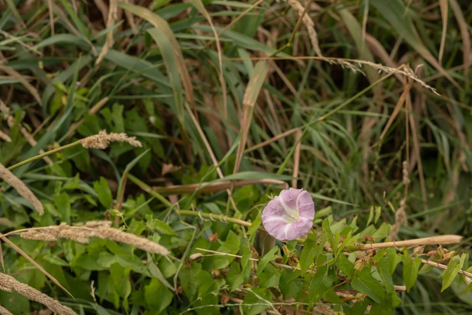 halehead-0134.jpg