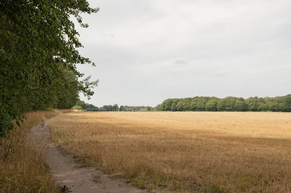 halehead-0152.jpg