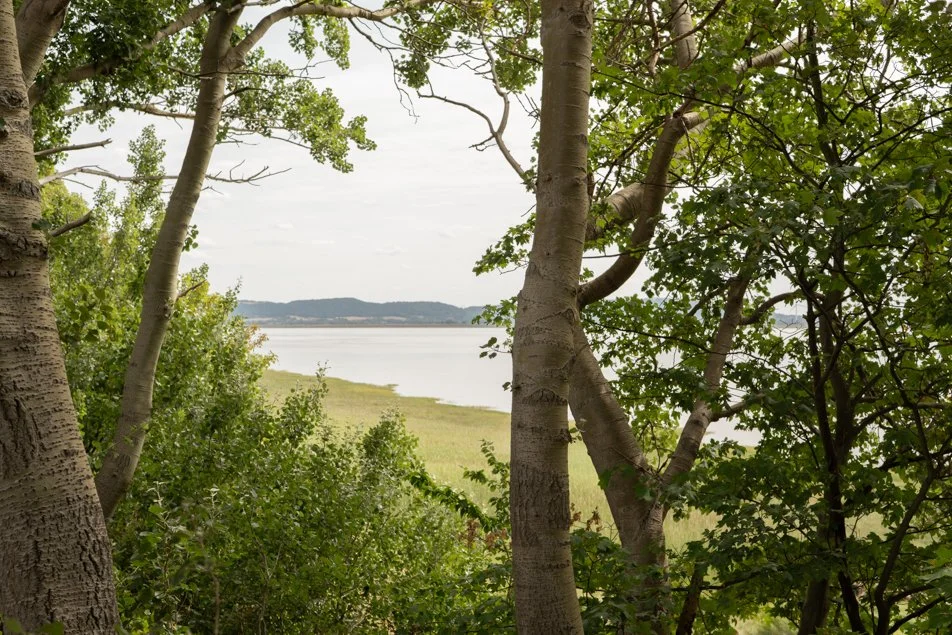 halehead-0150.jpg