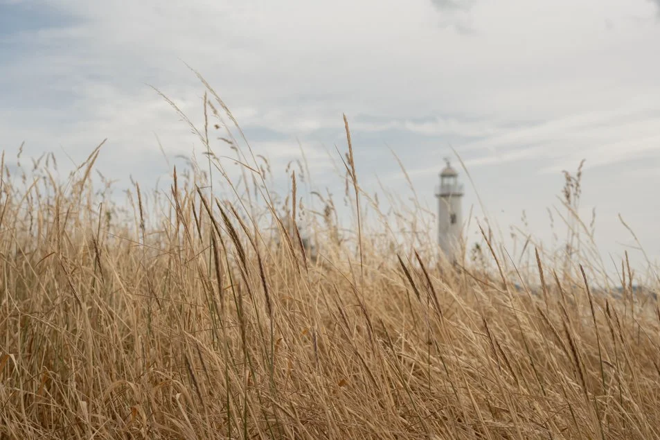 Walks, Hale Head to Ice House Plantation, Halton.