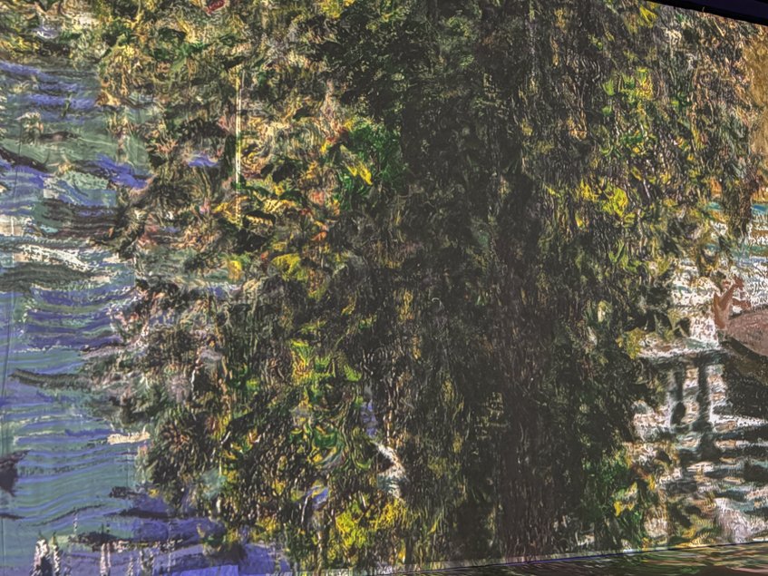 monet-6092.jpg